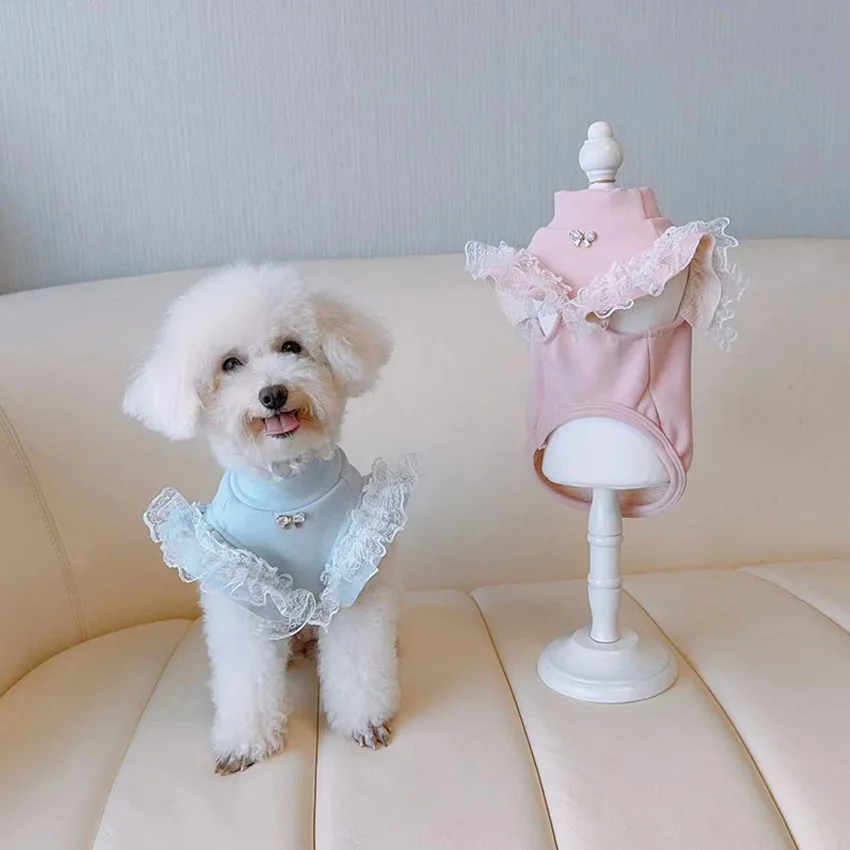 Pet Clothing Autumn and Winter - Lace Teddy Lingerie ulasan dan harga