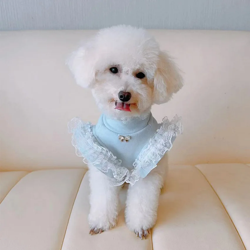 Pet Clothing Autumn and Winter - Lace Teddy Lingerie ulasan dan harga