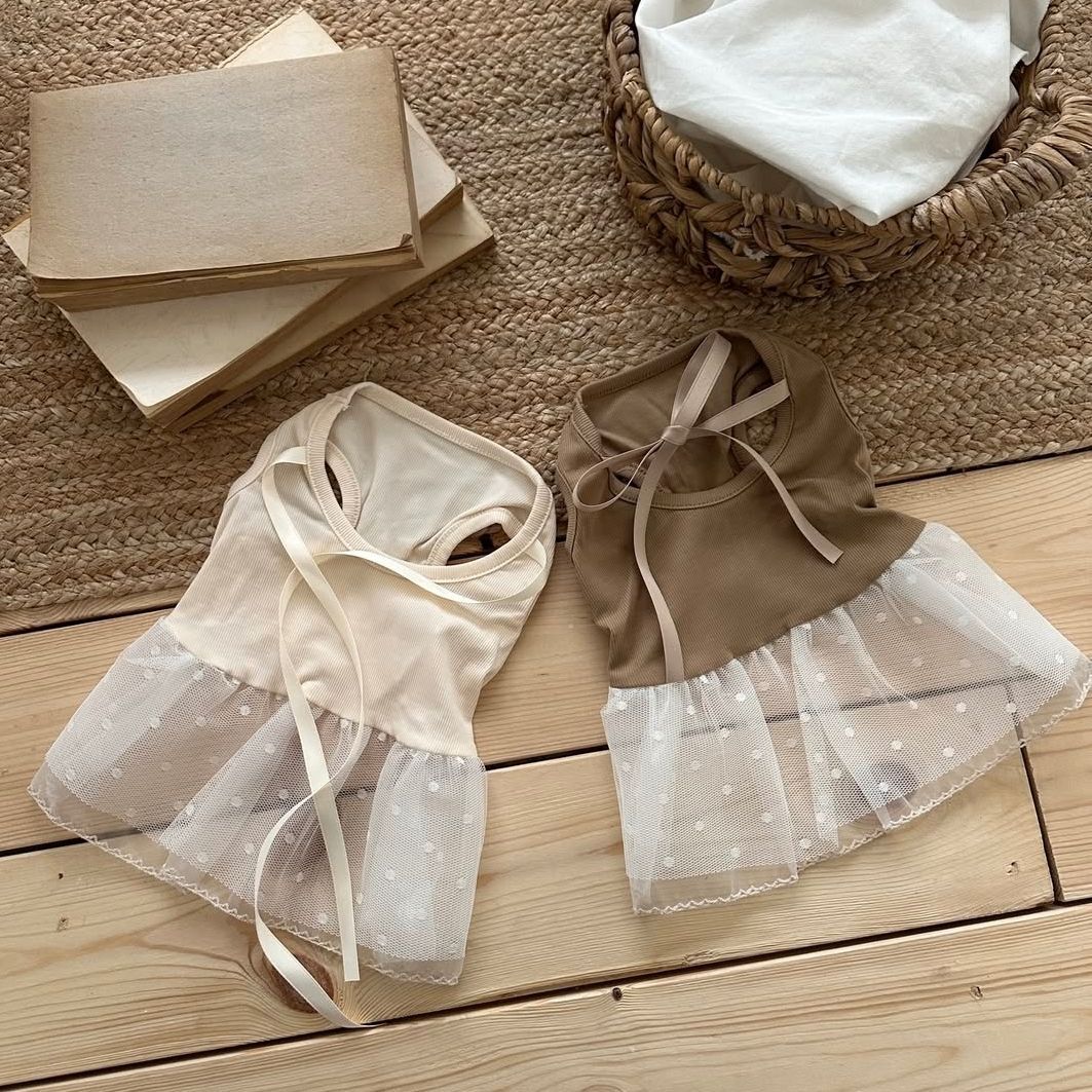 Spring and Summer Pet Lace Cam - Lace Teddy Lingerie ulasan dan harga
